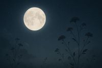 Pleine Lune en Scorpion du 12 mai 2025 une métamorphose