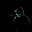 Dark Earl