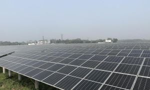 China Leads The Charge On Global Green Technology