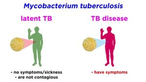 Localized Study Reveals Drug Resistance Trends For Tuberculosis