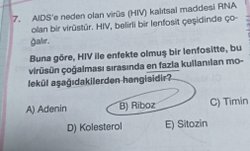 Ribozun Etkisini Azaltırsak Ne olur?