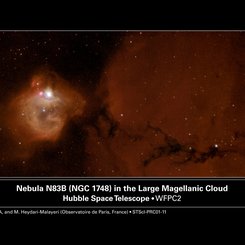 NGC 1748’i Yıkan Yeni Yıldızlar