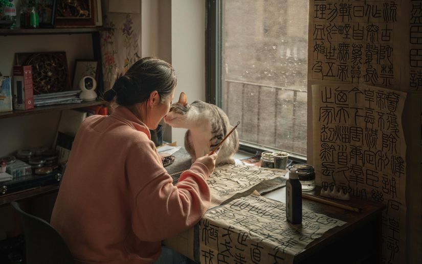 Sıcak bir New York apartmanında kedisiyle birlikte hat sanatı pratiği yapan kadın.