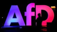 German intelligence agency suspends AfD's 'extremist' designation