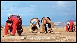 Üner Tan Sendromu Nedir? 4 Ayak Üzerinde Yürüyen İnsanlar Geri Evrim Örneği mi?