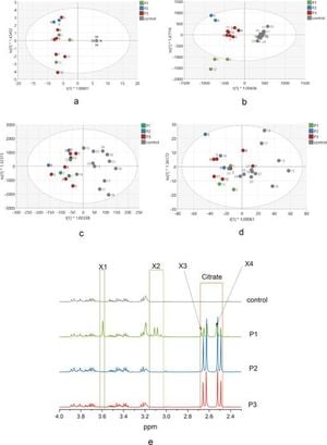 New Study Links Ferroptosis To Pantothenate Kinase Neurodegeneration