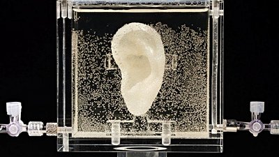 Van Gogh'un Kopmuş Kulağı: Kulak, 3 Boyutlu Yazıcı ile Yeniden Üretildi!