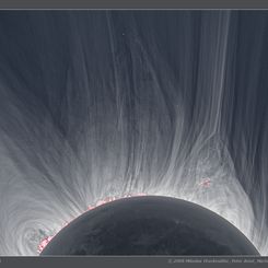 Detailed View of a Solar Eclipse Corona