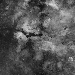 Central Cygnus Skyscape