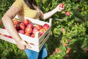 Brown’s Orchard Ranked Among Top U.S. Apple Orchards