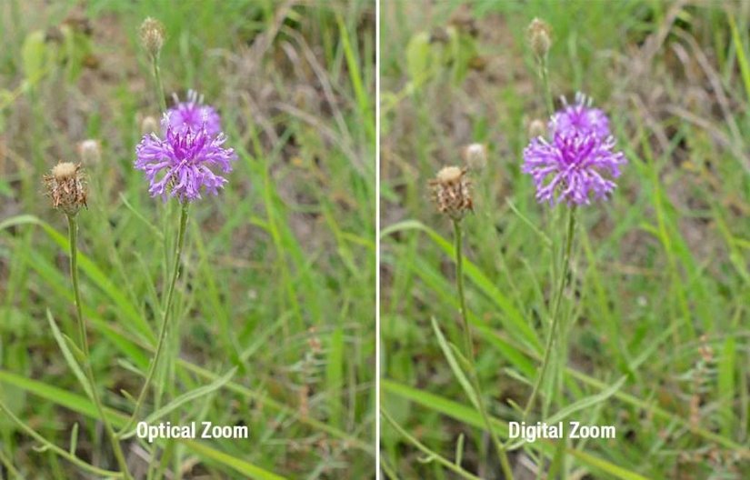 Optik Zoom vs Dijital Zoom