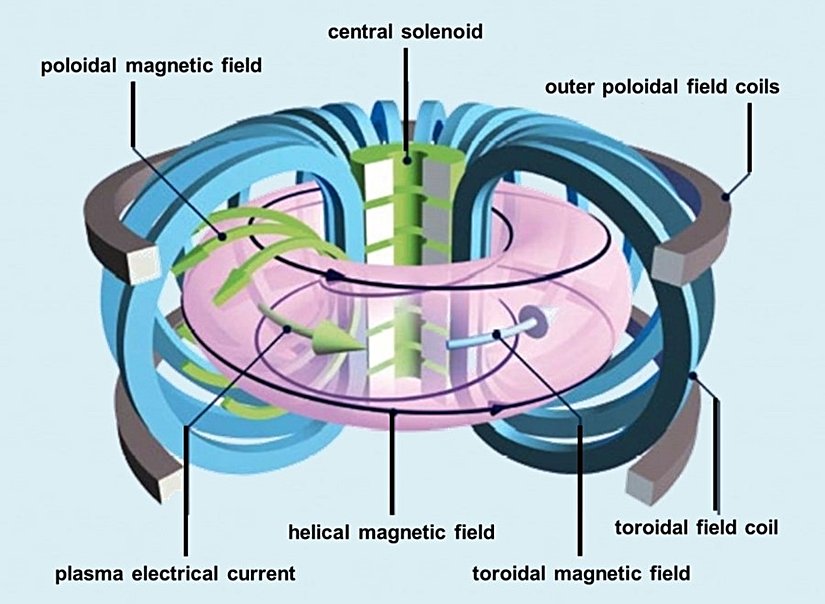 Toroidal ve poloidal manyetik alanları gösteren bir görsel.
