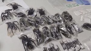 Man Arrested For Smuggling Hundreds Of Tarantulas From Peru