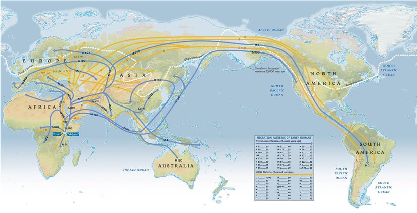İnsan türünün Afrika'daki evriminden sonraki göç yolları