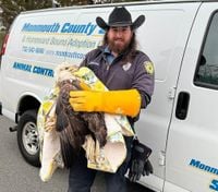 Injured bald eagle rescued from the side of a busy N.J. highway