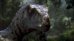 Evet, Velociraptorlar Halen Dışarıda Kol Geziyor; ancak Jurassic Park'ı Geri Açmamak İçin Hiçbir Neden Yok!