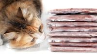 Further cat food recalled amid bird flu concerns with more cats falling ill