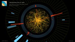 Higgs Bozonu