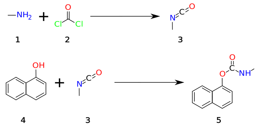 Bhopal'de tesisindeki karbaril üretim yöntemi. Önce metilamin (1) ve fosgen (2) tepkimeye sokularak metil izosiyanat (3) elde ediliyordu. İkinci aşamadaysa elde edilen metil izosiyanat, naftol (4) ile tepkimeye girerek karbarili (5) üretiyordu.