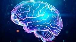 Kendini Bilmeyen Organımız Beynimiz