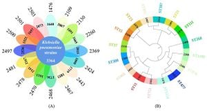 Genomic Study Reveals High-Risk Klebsiella Pneumoniae Strains