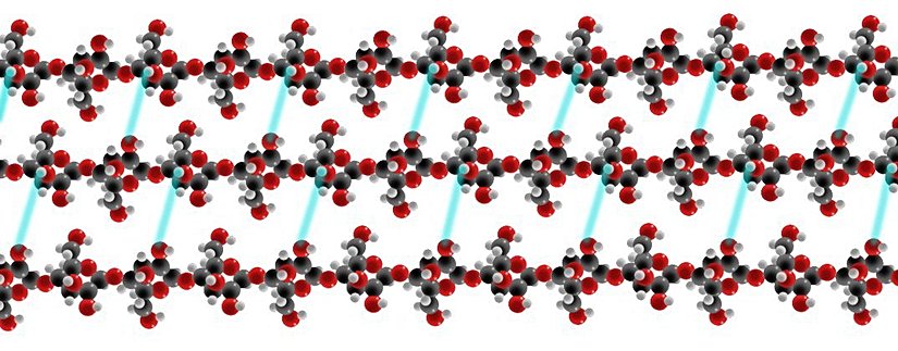 Şekil 8. Mikrofibril