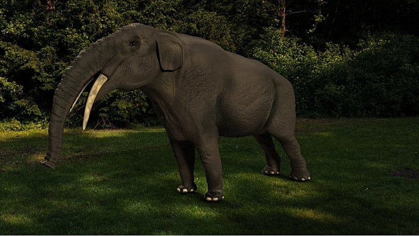 Gomphotherum paşalarense endemik Hortumlu türüne ait paleoart çalışması