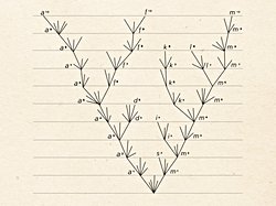 Türlerin Kökeni'ndeki evrim mekanizmasıyla bugün kabul gören mekanizma arasındaki farklar nelerdir? Darwin'in  açıkladığı mekanizma yanlış mıydı?