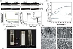 Araştırmacılar, Tardigrad Proteinlerinin İnsan Hücrelerinde Metabolizmayı Yavaşlatabileceğini Gösteriyor.