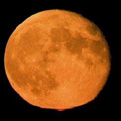 Orange Moon, Red Flash