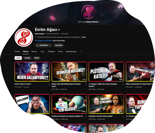 Evrim Ağacı Videolardan Çok Daha Fazlası!