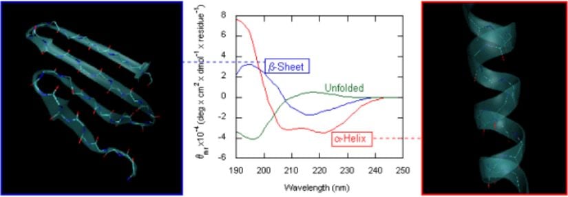 İki farklı üç boyutlu protein yapısının (sağda α-heliks ve solda β-pilili) oluşturdukları dairesel dikroizm grafiği