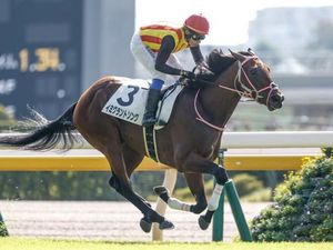 Excitement Builds For NHK Mile Cup At Tokyo