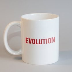 ''Evolution - Evrim'' Kupa