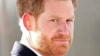 Prince Harry's visa documents unsealed in US court