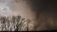 Tornado kills five, injures 130 in Brazil