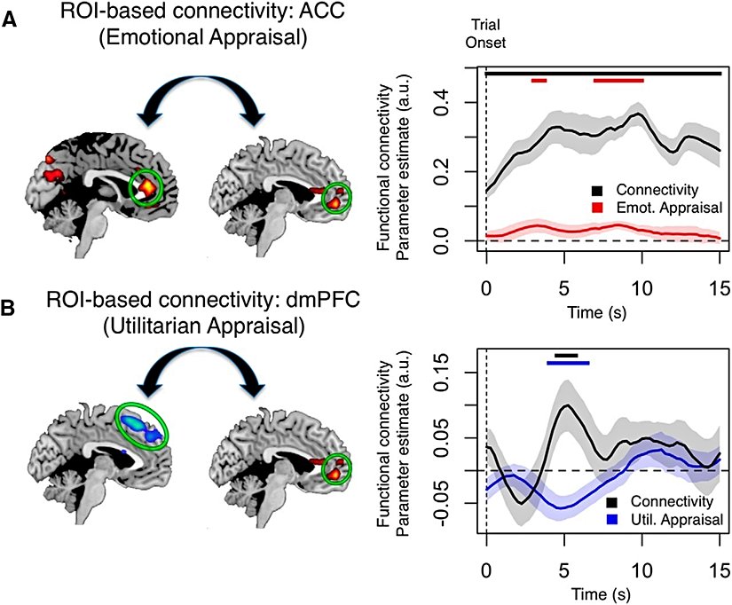 Genel bir ahlaki karara varılırken ayrı bölgelerden gelen bilgi, beynin ventromedial prefrontal korteks bölgesinde (vmPFC) birleştirilir.