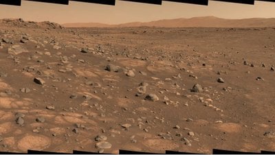 Yeni Bir Araştırma, İnsanları Hasta Edebilecek Bakterilerin Mars'ta Yaşayabileceğini Gösterdi!