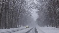 Can trees 'explode' during winter weather?