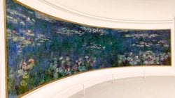 Bir Eser: Monet’nin Gözleri Değiştikçe Resimleri De Mi Değişti?