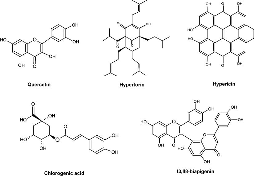 Hypericum perforatum bitkisinde bulunan bazı kimyasallar