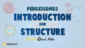 Peroxisomal Core Structures Reveal New Metabolic Pathways