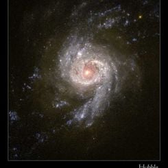 Spiral Galaxy NGC 3310 Across the Visible