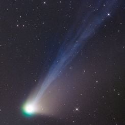 Tails of Comet Lemmon