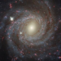 Facing NGC 3344