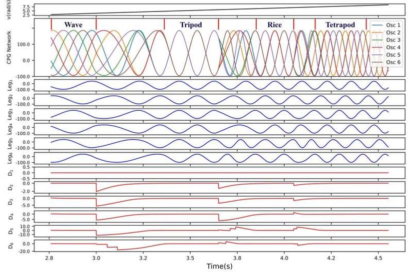 Osilatörlerin açısal hızını (2.5-7.5) rad.s-1 arasında değiştirirken farklı yürüyüşler arasındaki yürüyüş geçişleri.
