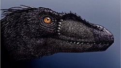 Paleontolojinin Rönesansı: Tüyler