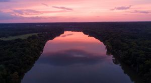 Conservationists Unite To Save Alabama's Mobile-Tensaw Delta