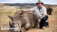 South African rhino horns turned radioactive to fight poachers