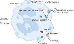 Coal Dust Exposure Activates NLRP3 Inflammasome Components